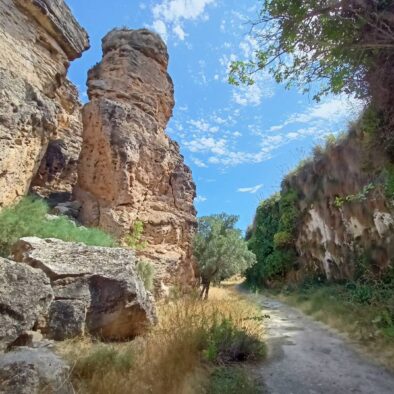 Alicún de las Torres. La Acequia del Torril, acueducto natural prehistorico. Al principio transcurre a ras del suelo, poco a poco formando una enorme pared de unos tres metros de espesor en su base, unico en Europa. Una ruta fácil.